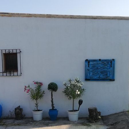 Country Side Loft Apartamento Valência Quarto foto